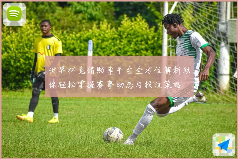 世界杯竞猜赔率平台全方位解析助你轻松掌握赛事动态与投注策略