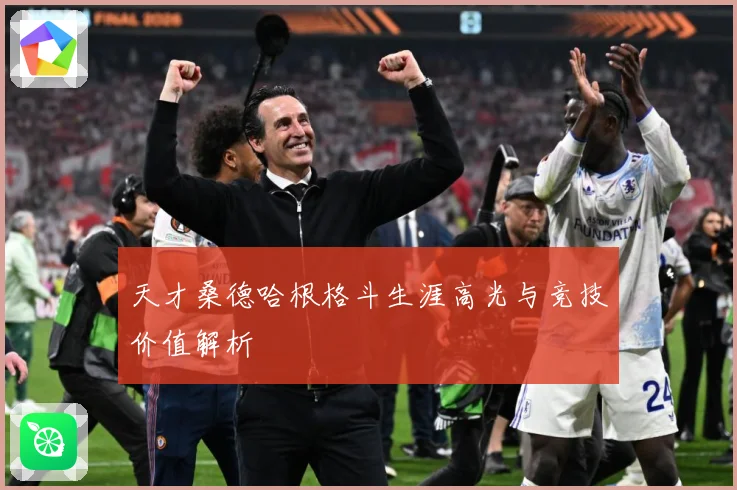 天才桑德哈根格斗生涯高光与竞技价值解析